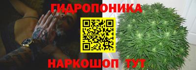 хмурый Аргун