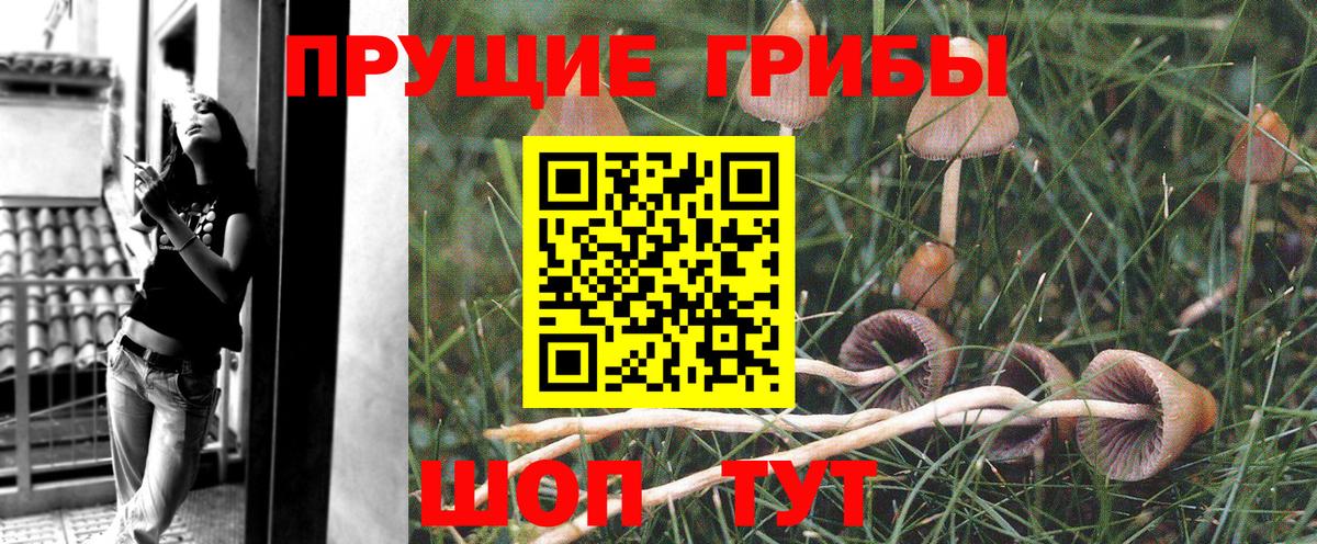 Псилоцибиновые грибы прущие грибы  хочу   Беслан  Вход с VPN 